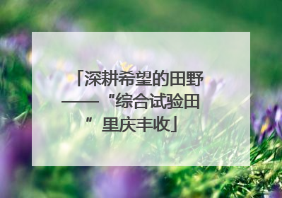 深耕希望的田野——“综合试验田”里庆丰收