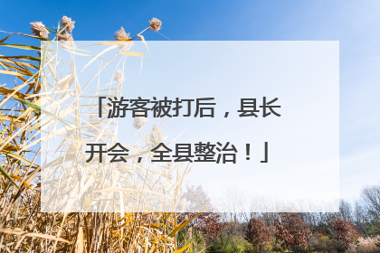游客被打后，县长开会，全县整治！