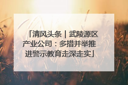 清风头条｜武陵源区产业公司：多措并举推进警示教育走深走实