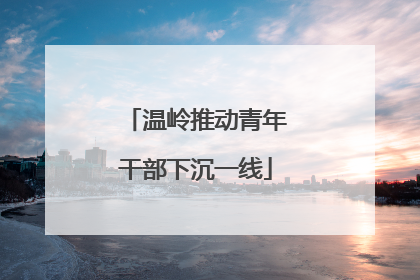 温岭推动青年干部下沉一线