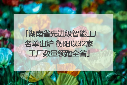 湖南省先进级智能工厂名单出炉 衡阳以32家工厂数量领跑全省