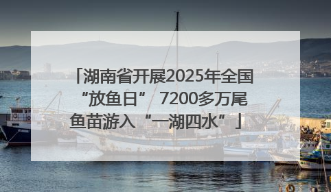 湖南省开展2025年全国“放鱼日” 7200多万尾鱼苗游入“一湖四水”