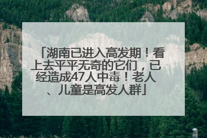 湖南已进入高发期！看上去平平无奇的它们，已经造成47人中毒！老人、儿童是高发人群