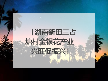 湖南新田三占塘村金银花产业兴旺促振兴