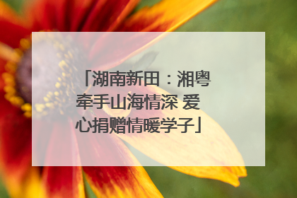 湖南新田：湘粤牵手山海情深 爱心捐赠情暖学子