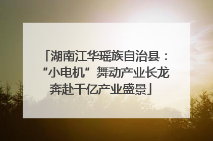 湖南江华瑶族自治县：“小电机”舞动产业长龙 奔赴千亿产业盛景