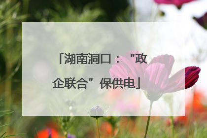 湖南洞口：“政企联合”保供电