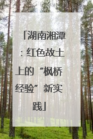 湖南湘潭：红色故土上的“枫桥经验”新实践