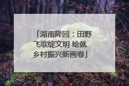 湖南隆回：田野飞歌绽文明 绘就乡村振兴新画卷
