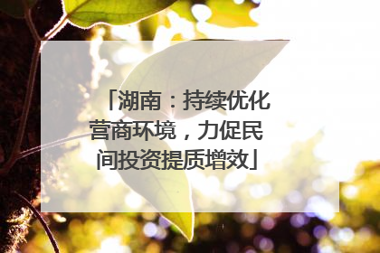 湖南：持续优化营商环境，力促民间投资提质增效