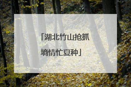 湖北竹山抢抓墒情忙夏种