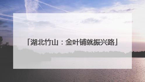湖北竹山：金叶铺就振兴路