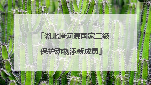 湖北堵河源国家二级保护动物添新成员