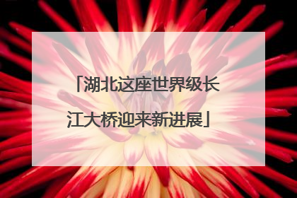 湖北这座世界级长江大桥迎来新进展