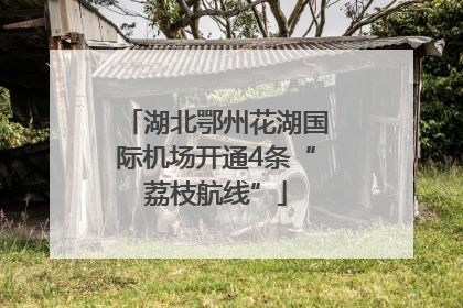湖北鄂州花湖国际机场开通4条“荔枝航线”