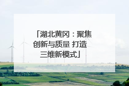 湖北黄冈：聚焦创新与质量 打造三维新模式