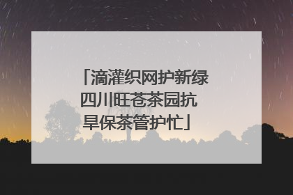 滴灌织网护新绿 四川旺苍茶园抗旱保茶管护忙