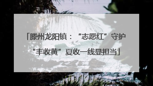滕州龙阳镇：“志愿红”守护“丰收黄”夏收一线显担当