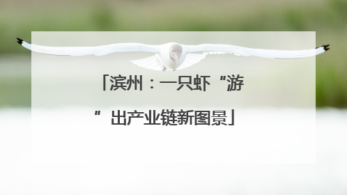 滨州：一只虾“游”出产业链新图景