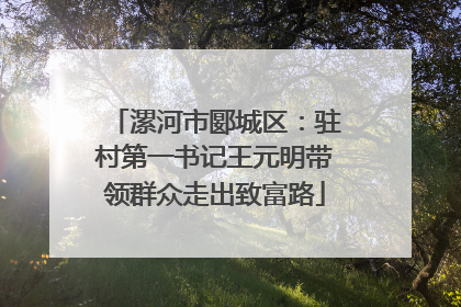 漯河市郾城区：驻村第一书记王元明带领群众走出致富路