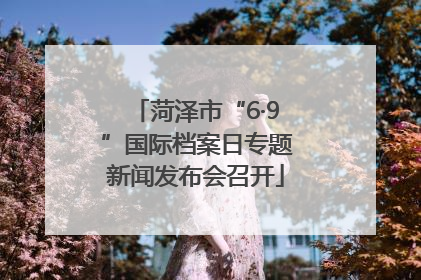 菏泽市“6·9”国际档案日专题新闻发布会召开