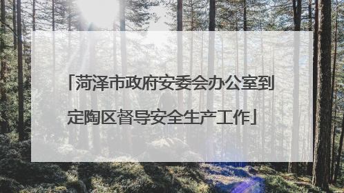 菏泽市政府安委会办公室到定陶区督导安全生产工作