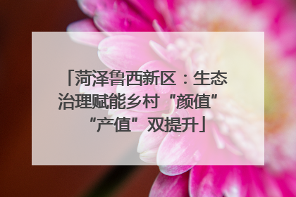 菏泽鲁西新区：生态治理赋能乡村“颜值”“产值”双提升