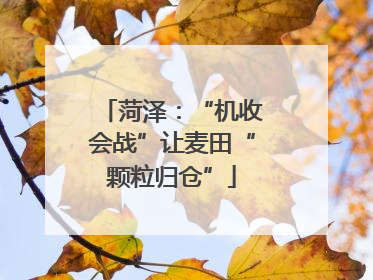 菏泽：“机收会战”让麦田“颗粒归仓”