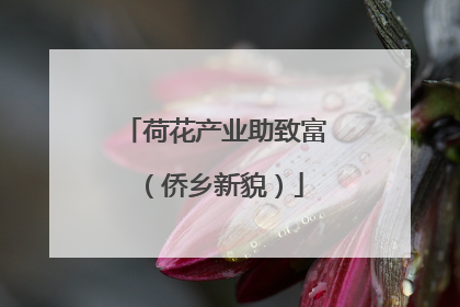 荷花产业助致富（侨乡新貌）
