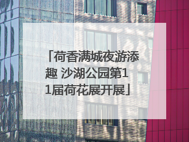 荷香满城夜游添趣 沙湖公园第11届荷花展开展