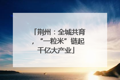 荆州：全城共育，“一粒米”链起千亿大产业