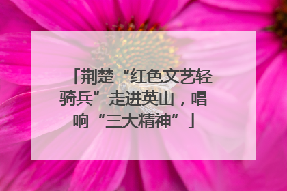荆楚“红色文艺轻骑兵”走进英山，唱响“三大精神”