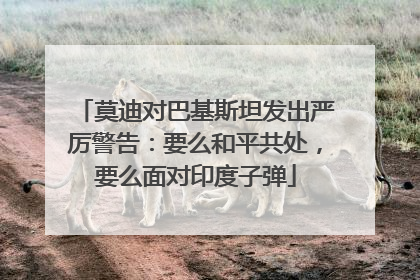 莫迪对巴基斯坦发出严厉警告：要么和平共处，要么面对印度子弹