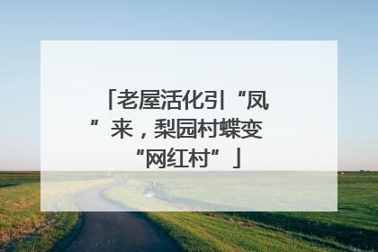 老屋活化引“凤”来，梨园村蝶变“网红村”