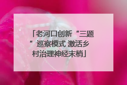 老河口创新“三题”巡察模式 激活乡村治理神经末梢