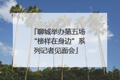聊城举办第五场“榜样在身边”系列记者见面会