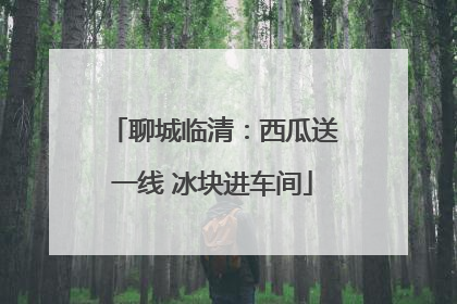 聊城临清：西瓜送一线 冰块进车间
