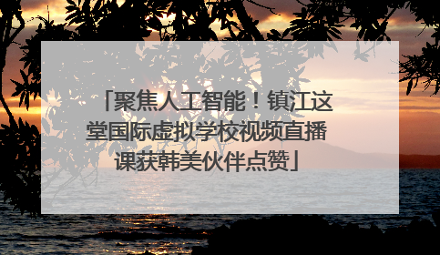聚焦人工智能！镇江这堂国际虚拟学校视频直播课获韩美伙伴点赞