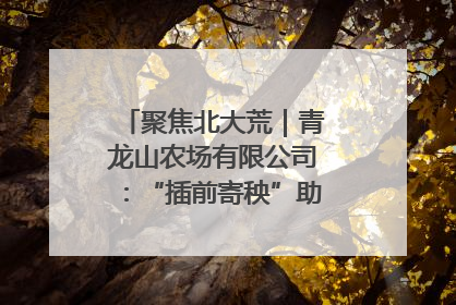 聚焦北大荒｜青龙山农场有限公司：“插前寄秧”助力农业节本增效