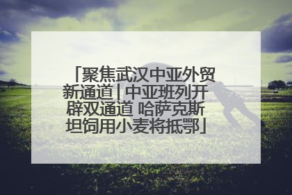 聚焦武汉中亚外贸新通道│中亚班列开辟双通道 哈萨克斯坦饲用小麦将抵鄂