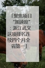 聚焦项目“加速度”：浙江武义这项排名连续四个月全省第一