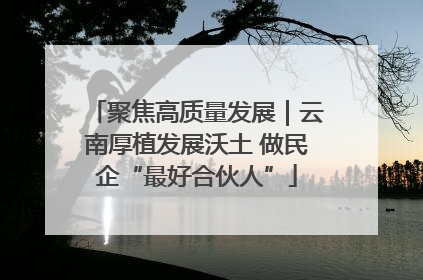 聚焦高质量发展｜云南厚植发展沃土 做民企“最好合伙人”