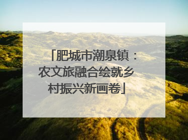肥城市潮泉镇：农文旅融合绘就乡村振兴新画卷