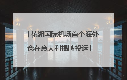 花湖国际机场首个海外仓在意大利揭牌投运