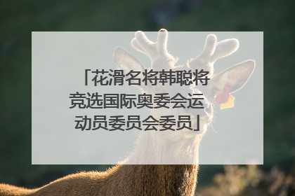 花滑名将韩聪将竞选国际奥委会运动员委员会委员