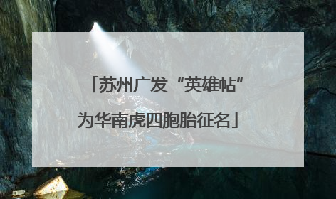 苏州广发“英雄帖”为华南虎四胞胎征名