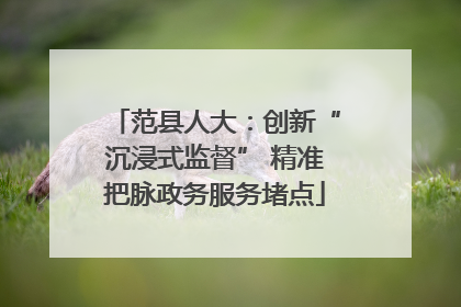 范县人大：创新“沉浸式监督” 精准把脉政务服务堵点