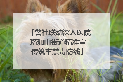 警社联动深入医院 珞珈山街道精准宣传筑牢禁毒防线