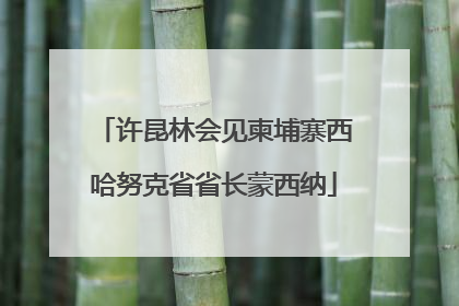 许昆林会见柬埔寨西哈努克省省长蒙西纳