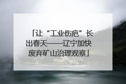 让“工业伤疤”长出春天——辽宁加快废弃矿山治理观察